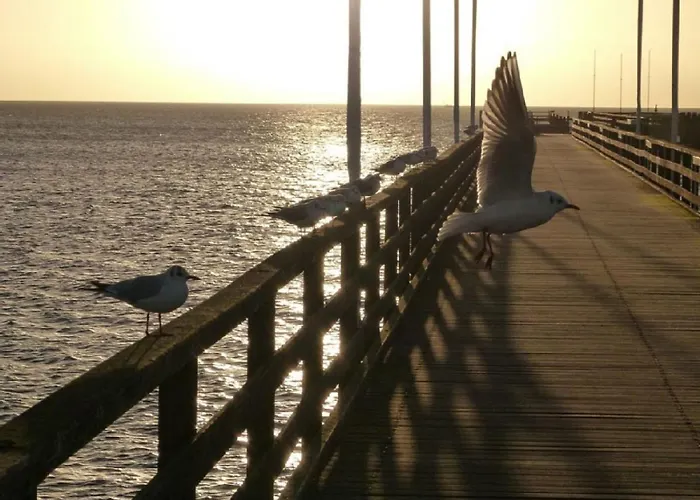 Meeresrauschen 4 - Apartamento *